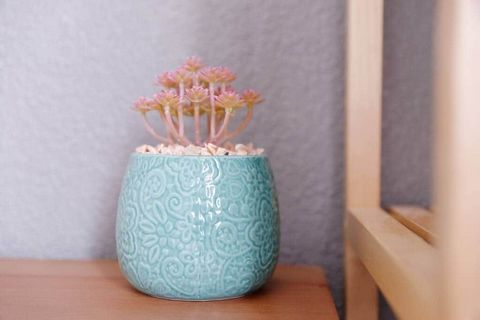 photo no. 13