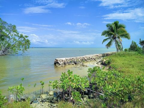 Here is your opportunity to own a seafront lot on the Corozal Bay, it is over 1/3 of an acre in size and offers multi-potential for commercial or residential purposes including; building your dream home, rentals, apartments, a bed & breakfast, etc. T...