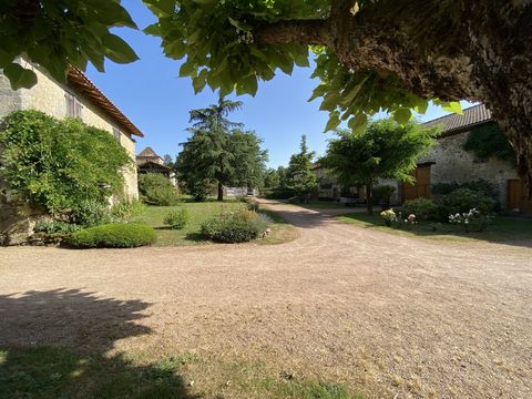 photo no. 2
