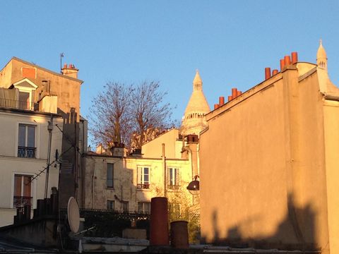 photo no. 8
