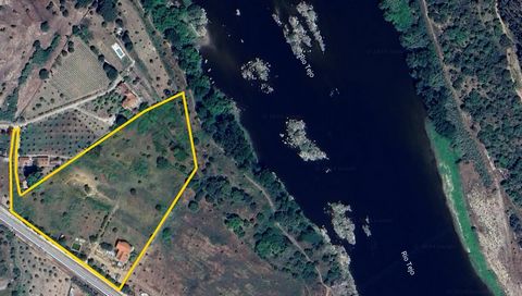 Villa mit 6 Schlafzimmern am Ufer des Flusses Tejo mit 415m2 auf einem Grundstück von 21280m2 (2,1 Ha). Anwesen mit einzigartigen Eigenschaften aufgrund der Nähe zum Fluss, im Wesentlichen flaches Land und Blick auf den Fluss aus fast allen Blickwink...