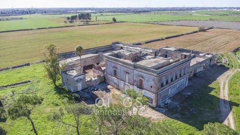 Deze historische boerderij uit Puglia, genesteld in het levendige hart van de Middellandse Zee, is een juweel van landelijke architectuur waar geschiedenis, design en functionaliteit in perfecte harmonie samenvloeien. Deze boerderijen dateren uit de ...