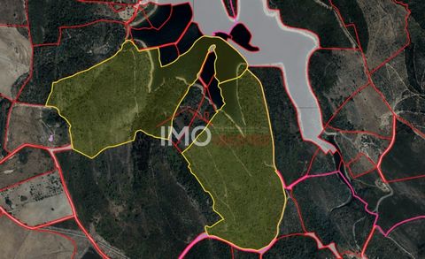 Finca rústica con 54 hectáreas de terreno situada en el municipio de Marvão, lindando con la presa de Apartadura, compuesta por pinos, robles y castaños.