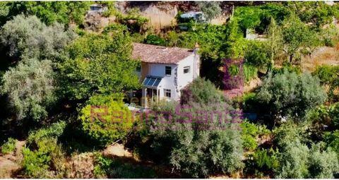 Villa met 2 slaapkamers en grond in Tábua Kleine boerderij, dicht bij de rivier de Mondego en met uitzicht op de Serra do Açor en Serra da Estrela. Villa met twee verdiepingen, gebouwd met behulp van granieten rotsen en met recyclebare materialen. Be...