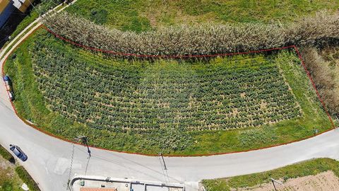 Terreno Espaçoso de 2.170,5m² em Ribamar, Lourinhã!   Bem-vindo ao seu futuro paraíso costeiro!   Apresentamos a você uma oportunidade única: um lote de terreno com generosos 2.170,5m², perfeitamente situado na deslumbrante localidade de Ribamar, Lou...