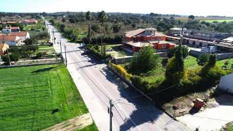 Lote de terreno urbano com 1000 m², com excelente localização, junto à estrada nacional 114-3 , está servido por todas as infraestruturas, Rede de Água, Eletricidade, Comunicações e Saneamento O lote já se encontra praticamente todo murado e o resto ...