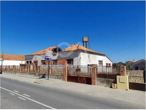 Warehouse Inserted in a corner plot with 1500m², construction of 624m² of gross area, with 486m² of floor area (7 rooms, high ceilings) and 138m² of dependent area. Walled land with railings. In the past, it had an olive oil mill. In need of recovery...