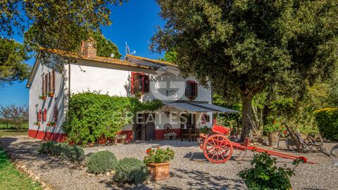 Immersa nel verde della campagna toscana, questa proprietà si trova nel comune di Manciano, in provincia di Grosseto. La proprietà si estende su un terreno di circa 3 ettari, con un giardino ben curato e una piscina che offre un ambiente di relax. L’...