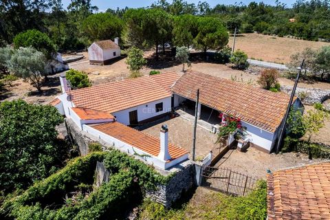 Pretende investir numa zona tranquila e perto de tudo? Ótimo para o turismo rural ou para habitação mesmo que seja uma família grande, apresento-lhe esta propriedade de 2000m2 com duas casa e um telheiro. Esta propriedade tem muito potencial devido a...