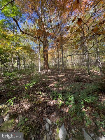 Discover your slice of paradise with this stunning building lot in the nature lovers community of Mountain Falls Park - Wilde Acres. Spanning nearly a full acre, this tranquil setting is perfect for crafting your dream home or a cozy cabin retreat ne...