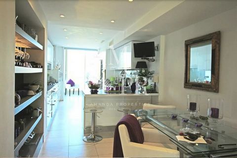 photo no. 11