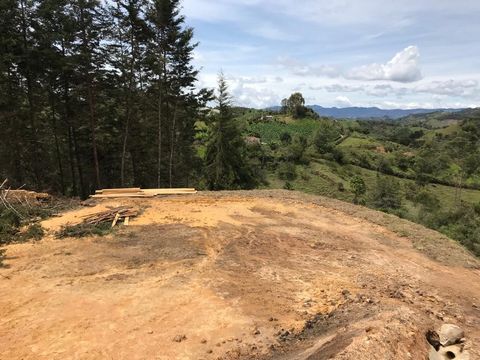 With an area of 1,342 m2, it has a grading area to build your house, surrounded by nature and native trees where you can breathe fresh air. Economical lots in San Vicente of 773M2 and up. With a beautiful view and direct access to the veredal road. R...