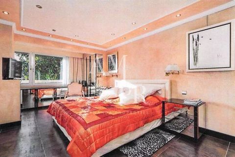 photo no. 12