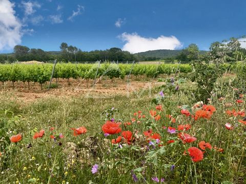 Gelegen in het hart van het bekende terroir van de Esclans-vallei in de Haut Var, strekt deze kant-en-klare productielocatie zich uit over ongeveer 21 hectare, waarvan ongeveer 20 hectare is beplant met DOP- en IGP-wijnstokken, geteeld volgens het pr...