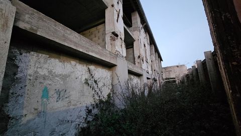 photo no. 1