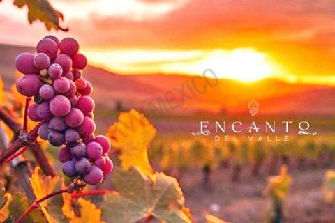 El RANCHO ENCANTO DEL VALLE ubicado en el valle de Guadalupe es el lugar perfecto! con suhermoso paisaje y su creciente popularidad como destino turístico, la inversión en valle de Guadalupe son una inversión inteligente, comienza a crear tu futuro y...