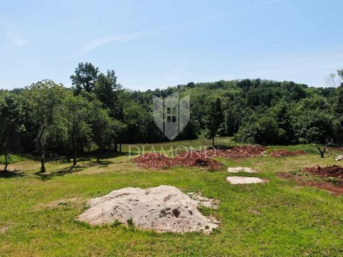 Location: Istarska županija, Pazin, Stari Pazin. Pazin, surroundings, building plot of 1046m2. A few minutes' drive from the center of Pazin, there is a building plot with a flat surface and a regular shape. The infrastructure is located next to the ...