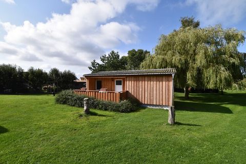 Bienvenido al complejo de bungalows Gänseblümchen. Los 7 bungalows están situados en la isla de Poel, rodeados de naturaleza. A unos 2 km de la playa hay numerosas instalaciones para practicar deportes acuáticos, los bungalows tienen una superficie h...