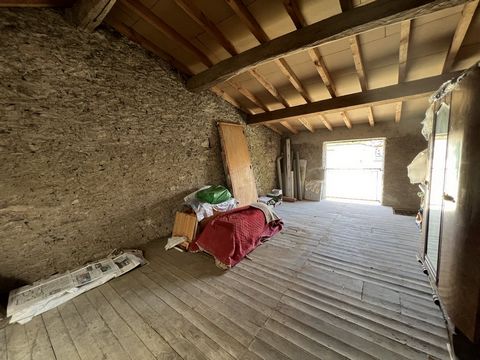 photo no. 11