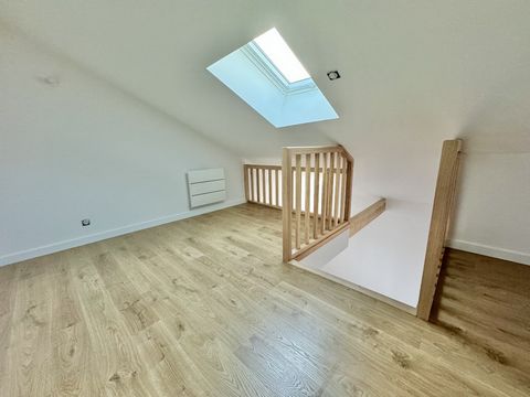 photo no. 11