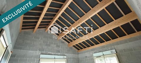 photo no. 9