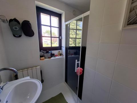 photo no. 9