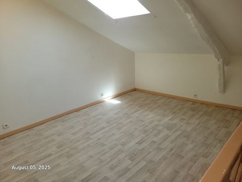 photo no. 7