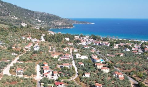 Property Code. 11761 - Agricultural FOR SALE in Thasos Chrisi Ammoudia for € 15.000 . Discover the features of this 923 sq. m. Agricultural: Distance from sea 420 meters, Distance from the city center: 12000 meters, Distance from nearest village: 300...
