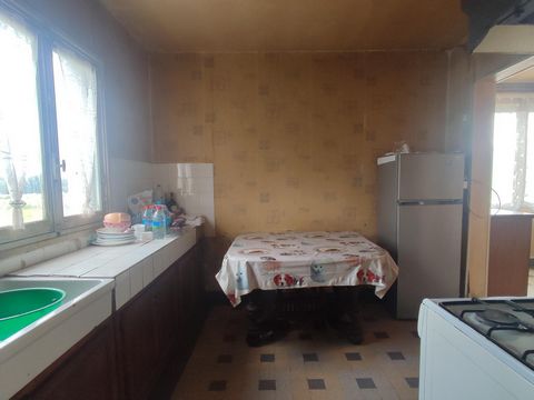 photo no. 5