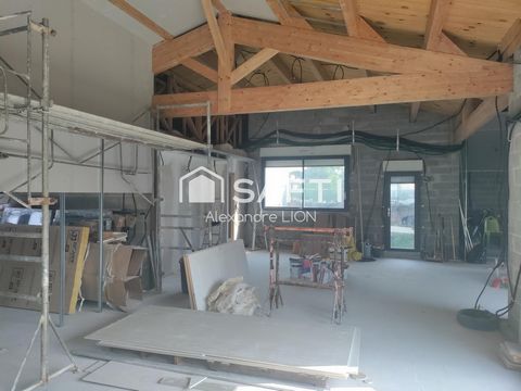 photo no. 11