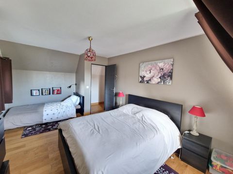photo no. 9