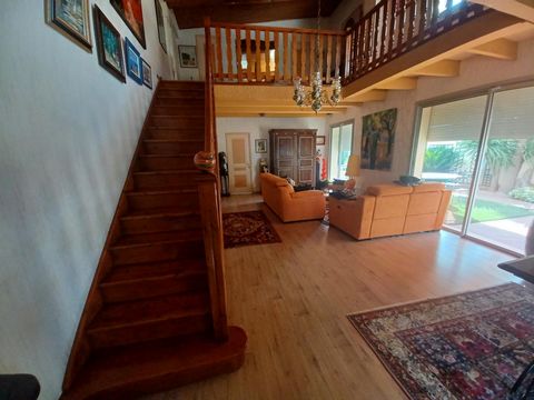 photo no. 12
