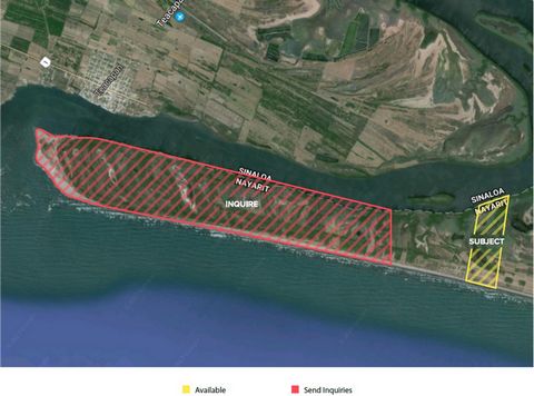 A piece of paradise on Isla Playa de Novillero in Mexico, known as one of the longest and safest beaches in the world, a generous parcel of 50 hectares/123 acres with service for water and electricity, as well as the option to purchase a nearby penin...