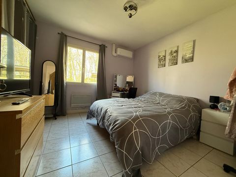 photo no. 15