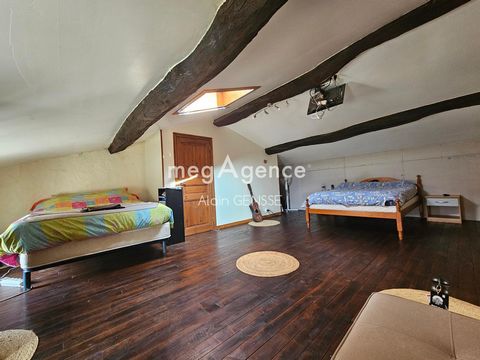 photo no. 6