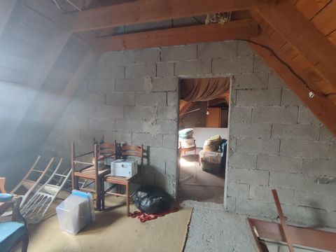photo no. 13