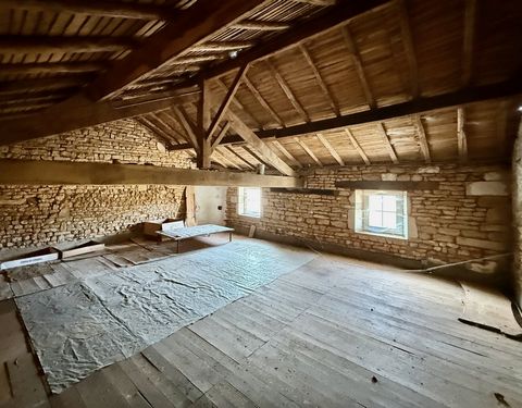photo no. 8
