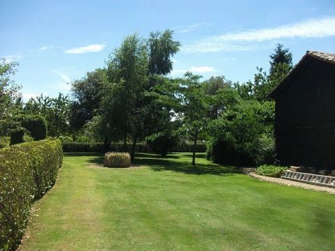 photo no. 14