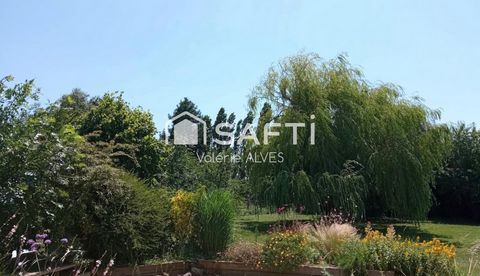photo no. 14