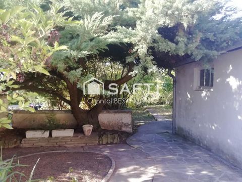 photo no. 3