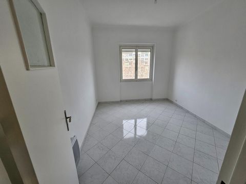 photo no. 12