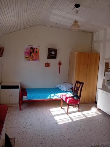 photo no. 3