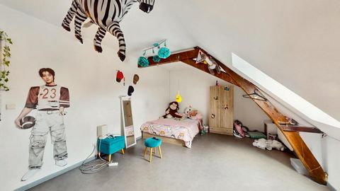 photo no. 12