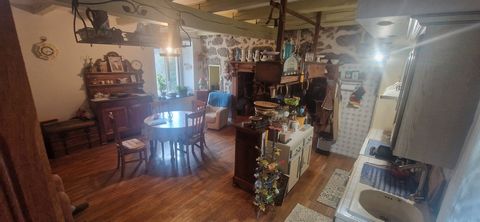 photo no. 12