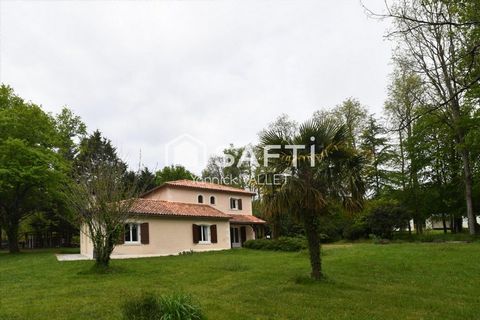 photo no. 12