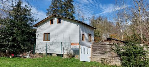 photo no. 2