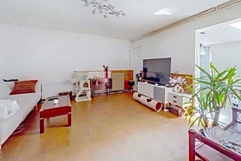 photo no. 1