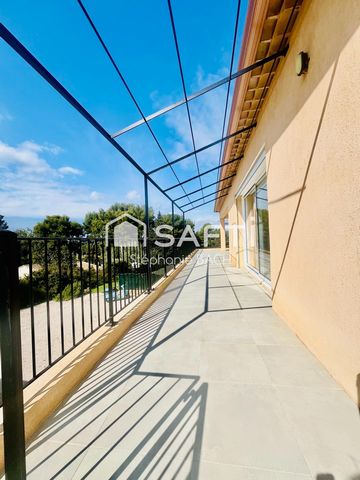 photo no. 13