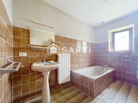 photo no. 11