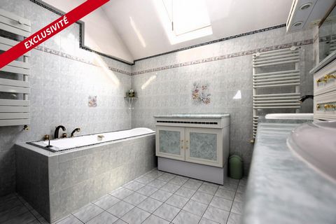 photo no. 11